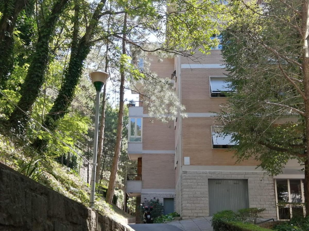 Yellow & Green Trieste Exterior photo